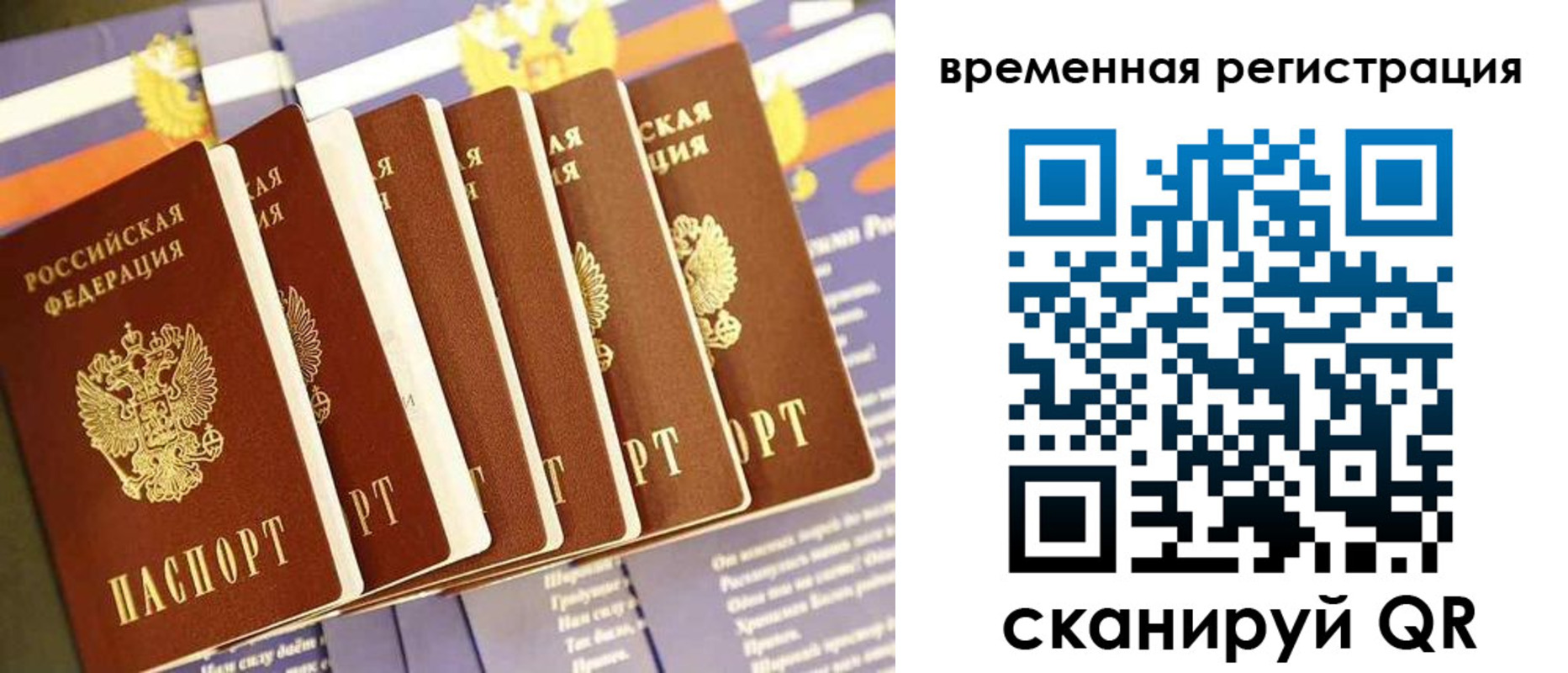 временная регистрация поиск в Ельне