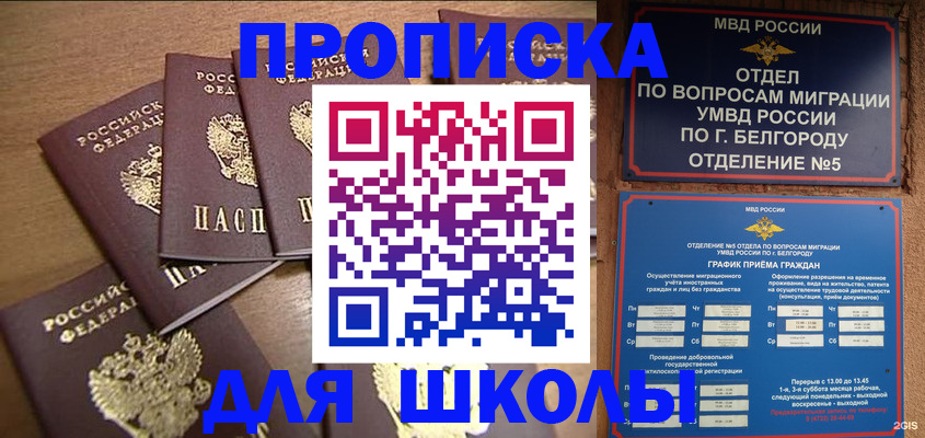 прописка гарантия в Ельне